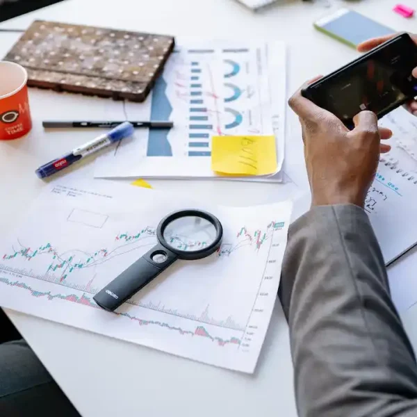 Why PE Investments Need Strong Portfolio Management Services?